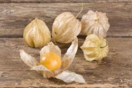 Physalis Online Bestellen Bei Farmy Ch