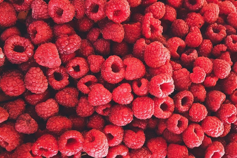 regionale bio produkte direkt von produzenten farmy ch frische himbeeren online bestellen bei farmy ch